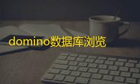 domino数据库浏览器 中文版